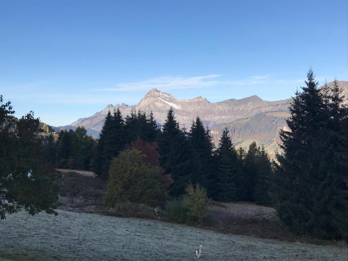 La Ferme Des Georgieres "Sejour En Tout Compris" Нотр-Дам-де-Белькомб Екстер'єр фото
